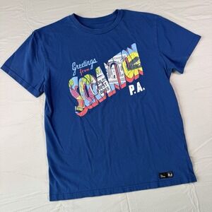 The Office T Shirt Size Medium Greetings From Scranton PA Dwight Schrute Blue